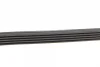 Комплект ременя генератора Renault Clio/Megane/Scenic/Nissan Almera/Micra/Kubistar 1.5 dCi 03- Contitech 5PK1135K2 (фото 2)