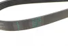 Комплект ременя генератора Renault Clio/Megane/Scenic/Nissan Almera/Micra/Kubistar 1.5 dCi 03- Contitech 5PK1135K2 (фото 3)