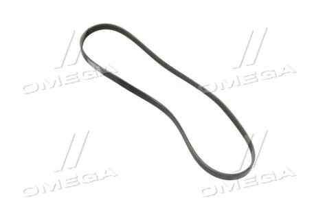 Поліклиновий ремінь Contitech 5PK1207