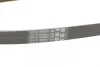 Ремінь генератора Opel Combo/Astra G 1.4-1.8 98-10/Kia Ceed/Rio 1.2/1.4 14-/Hyundai i20/i30 1.4 14- CONTINENTAL Contitech 5PK1212 (фото 3)