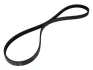 Поліклиновий ремінь (5PK1236) HYUNDAI I10 I, I20 I, I20 II 1.2/1.2LPG 09.08-09.21 Contitech 5 PK 1236 ELAST (фото 1)