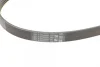 Ремінь генератора Toyota Avensis/Corolla 2.0D 03-09/Hyundai i10 1.0 13- Contitech 5PK1250 (фото 3)