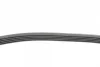 Ремінь генератора VW Passat B5/Audi A4/A6 1.6/1.8/2.0 95-05/MB A-class (W169) 1.5-2.0 04-12 CONTINENTAL Contitech 5PK1300 (фото 2)