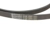 Комплект ременя генератора Skoda Superb/VW Passat B5 1.6-2.0 96-08 CONTINENTAL Contitech 5PK1300K1 (фото 3)