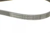 Поліклиновий ремінь (5PK1345) VOLVO S40 I, V40 HYUNDAI GALLOPER II LANCIA DELTA I, PRISMA MAZDA RX-7 III MITSUBISHI CARISMA, PAJERO I, PAJERO II, PAJERO PININ I, SPACE STAR 1.3-3.0 04.86-06.07 Contitech 5 PK 1345 (фото 4)