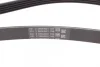 Поліклиновий ремінь (5PK1393) HYUNDAI H-1, H-1 / STAREX, HIGHWAY, SANTA FÉ I, SONATA IV, TRAJET KIA MAGENTIS I, SORENTO I MITSUBISHI GRANDIS, SPACE, SPACE RUNNER 2.0-2.7 03.98-06.09 Contitech 5 PK 1393 (фото 2)