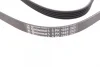 Поліклиновий ремінь (5PK1393) HYUNDAI H-1, H-1 / STAREX, HIGHWAY, SANTA FÉ I, SONATA IV, TRAJET KIA MAGENTIS I, SORENTO I MITSUBISHI GRANDIS, SPACE, SPACE RUNNER 2.0-2.7 03.98-06.09 Contitech 5 PK 1393 (фото 3)