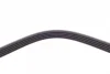 Поліклиновий ремінь (5PK1393) HYUNDAI H-1, H-1 / STAREX, HIGHWAY, SANTA FÉ I, SONATA IV, TRAJET KIA MAGENTIS I, SORENTO I MITSUBISHI GRANDIS, SPACE, SPACE RUNNER 2.0-2.7 03.98-06.09 Contitech 5 PK 1393 (фото 4)
