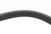 Ремінь генератора VW Passat B5/Audi A4/A6 1.9TDI 98-05/Skoda Superb 1.9/2.0TDI 01-08 CONTINENTAL Contitech 5PK1432 (фото 3)