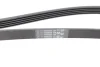 Поліклиновий ремінь (5PK1450) CHEVROLET AVEO / KALOS, ORLANDO CITROEN XM FIAT STILO OPEL ASTRA G, ASTRA G CLASSIC, ASTRA H, ASTRA H CLASSIC, ASTRA H GTC, CORSA D, MERIVA A, SIGNUM 1.4-3.0 10.84- Contitech 5 PK 1450 (фото 4)