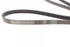 Ремінь генератора Opel Zafira/Astra 1.6/1.8 05-15/Fiat 1.6/1.8 05-/Chevrolet Orlando 1.8 11- CONTINENTAL Contitech 5PK1546 (фото 2)