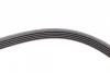 Ремінь генератора Opel Zafira/Astra 1.6/1.8 05-15/Fiat 1.6/1.8 05-/Chevrolet Orlando 1.8 11- CONTINENTAL Contitech 5PK1546 (фото 3)