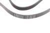 Ремінь генератора VW Passat 1.9TDI 96-00/Audi A4/A6 1.9TDI 95-01/Kia Carnival 2.9TDi/CRDi 99-06 CONTINENTAL Contitech 5PK1592 (фото 2)