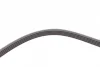 Ремінь генератора VW Passat 1.9TDI 96-00/Audi A4/A6 1.9TDI 95-01/Kia Carnival 2.9TDi/CRDi 99-06 CONTINENTAL Contitech 5PK1592 (фото 4)