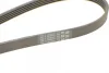 Поліклиновий ремінь (5PK1640) HYUNDAI ACCENT III, GETZ, I30 KIA CERATO I, PICANTO I, RIO II 1.1D/1.5D/1.6D 03.05-12.11 Contitech 5 PK 1640 (фото 3)