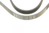 Поліклиновий ремінь (5PK1640) HYUNDAI ACCENT III, GETZ, I30 KIA CERATO I, PICANTO I, RIO II 1.1D/1.5D/1.6D 03.05-12.11 Contitech 5 PK 1640 (фото 4)