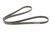 Поліклиновий ремінь (5PK1640) HYUNDAI ACCENT III, GETZ, I30 KIA CERATO I, PICANTO I, RIO II 1.1D/1.5D/1.6D 03.05-12.11 Contitech 5 PK 1640 (фото 5)