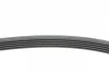 Ремінь генератора Opel Astra G/H 2.0 05-10/Insignia 1.5 17- CONTINENTAL Contitech 5PK1680 (фото 2)