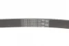 Ремінь генератора Opel Astra G/H 2.0 05-10/Insignia 1.5 17- CONTINENTAL Contitech 5PK1680 (фото 3)