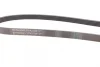 Ремінь генератора MB A-class (W168) 1.7CDI 98-01 CONTINENTAL Contitech 5PK1720 (фото 2)