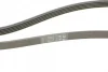 Ремінь генератора Kia Cerato/Rio 1.5-1.6 CRDI 05-/MB A-class (W169/W176) 1.8-2.2CDI 04-18 CONTINENTAL Contitech 5PK1745 (фото 3)