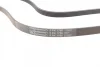 Ремінь генератора Renault Kangoo/Megane/Logan 1.4/1.6i 97-/Opel Insignia 2.0 17- CONTINENTAL Contitech 5PK1750 (фото 3)