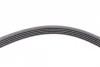 Ремінь генератора Renault Kangoo/Megane/Logan 1.4/1.6i 97-/Opel Insignia 2.0 17- CONTINENTAL Contitech 5PK1750 (фото 4)