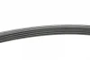 Ремінь генератора MB A-class (W169)/B-class (W245) 1.5-2.0 04-12/Opel Insignia 2.0T 13-17 CONTINENTAL Contitech 5PK1765 (фото 2)