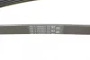 Ремінь генератора MB A-class (W169)/B-class (W245) 1.5-2.0 04-12/Opel Insignia 2.0T 13-17 CONTINENTAL Contitech 5PK1765 (фото 3)