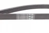 Ремінь генератора Opel Omega B 2.5DTI 01-03/Land Rover Range Rover 3.0D 02-12 CONTINENTAL Contitech 5PK2020 (фото 2)