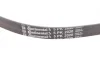 Ремінь генератора Opel Omega B 2.5DTI 01-03/Land Rover Range Rover 3.0D 02-12 CONTINENTAL Contitech 5PK2020 (фото 3)