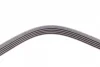 Ремінь генератора Opel Omega B 2.5DTI 01-03/Land Rover Range Rover 3.0D 02-12 CONTINENTAL Contitech 5PK2020 (фото 4)