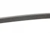 Ремінь генератора BMW 3 (E46)/5 (E39)/7 (E38)/X5 (E53) 3.0D 98-05 CONTINENTAL Contitech 5PK2060 (фото 2)