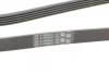 Ремінь генератора BMW 3 (E46)/5 (E39)/7 (E38)/X5 (E53) 3.0D 98-05 CONTINENTAL Contitech 5PK2060 (фото 3)