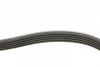 Поліклиновий ремінь (5PK585) FORD MONDEO I, MONDEO II 1.8D 06.93-09.00 Contitech 5 PK 585 (фото 2)