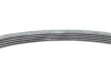 Поліклиновий ремінь (5PK595) ALFA ROMEO 159, BRERA, SPIDER FIAT CROMA 2.4D 06.05-12.12 Contitech 5 PK 595 ELAST (фото 4)