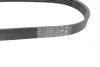 Ремінь генератора Ford Mondeo IV 2.5 07-15/Volvo S60/S80/V60/V70/XC60/XC70 07-16 CONTINENTAL Contitech 5PK628 ELAST (фото 3)