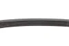 Ремінь генератора Ford Mondeo IV 2.5 07-15/Volvo S60/S80/V60/V70/XC60/XC70 07-16 CONTINENTAL Contitech 5PK628 ELAST (фото 4)