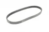 Ремінь генератора Ford C-Max/ Focus/ Volvo S40 1.8-2.0 06-12 CONTINENTAL Contitech 5PK705 ELAST (фото 5)