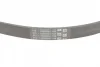 Ремінь генератора Ford Focus 1.6i CONTINENTAL Contitech 5PK868 ELAST (фото 3)
