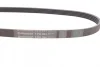 Ремінь генератора Ford Fiesta 1.8 DI 95-02/Toyota Rav4 2.0D 4WD 01-05 CONTINENTAL Contitech 5PK884 (фото 2)