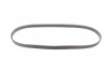 Поліклиновий ремінь (5PK900) ARO SPARTANA BMW 7 (E38) FORD FOCUS II LANCIA DEDRA, DELTA II MITSUBISHI ASX, LANCER VII, LANCER VIII NISSAN PIXO OPEL AGILA B RENAULT TWINGO I 1.0-2.8 03.93- Contitech 5 PK 900 (фото 4)