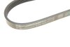 Ремень генератора поликлиновый CONTINENTAL Contitech 5PK934 (фото 4)