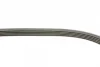 Поліклиновий ремінь (5PK955) FIAT PALIO, SIENA HONDA ACCORD IV, ACCORD V, LEGEND III MITSUBISHI COLT V, LANCER VII 1.3-3.5 01.90-12.13 Contitech 5 PK 955 (фото 3)