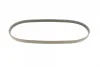 Поліклиновий ремінь (5PK955) FIAT PALIO, SIENA HONDA ACCORD IV, ACCORD V, LEGEND III MITSUBISHI COLT V, LANCER VII 1.3-3.5 01.90-12.13 Contitech 5 PK 955 (фото 4)