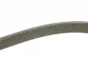 Поліклиновий ремінь (6PK1320) AUDI TT FORD GALAXY I, GALAXY MK I SEAT ALHAMBRA, LEON, TOLEDO II VW BORA, BORA I, GOLF IV, MULTIVAN T5, NEW BEETLE, SHARAN, TRANSPORTER T5 2.3/2.8/3.2 03.99-09.10 Contitech 6 DPK 1320 (фото 2)