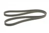 Ремінь генератора Volvo C70/S60/S70/S80/XC90 2.0T/2.4D/3.0T6 98-14 CONTINENTAL Contitech 6DPK1825 (фото 3)