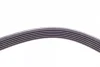 Ремінь генератора Volvo C70/S40/S80/S70/V70/XC70/XC90 2.0-3.0 98-14 CONTINENTAL Contitech 6DPK1841 (фото 2)