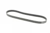 Ремінь генератора Ford Fiesta/Focus CONTINENTAL Contitech 6PK1019 ELAST (фото 5)