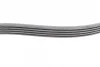 Ремінь генератора Ford Fiesta/Focus 1.4/1.6i 16V 01-12 (6PK1019 ELAST+5PK690 ELAST) Contitech 6PK1019 ELAST T1 (фото 11)